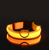 GlowCollar™